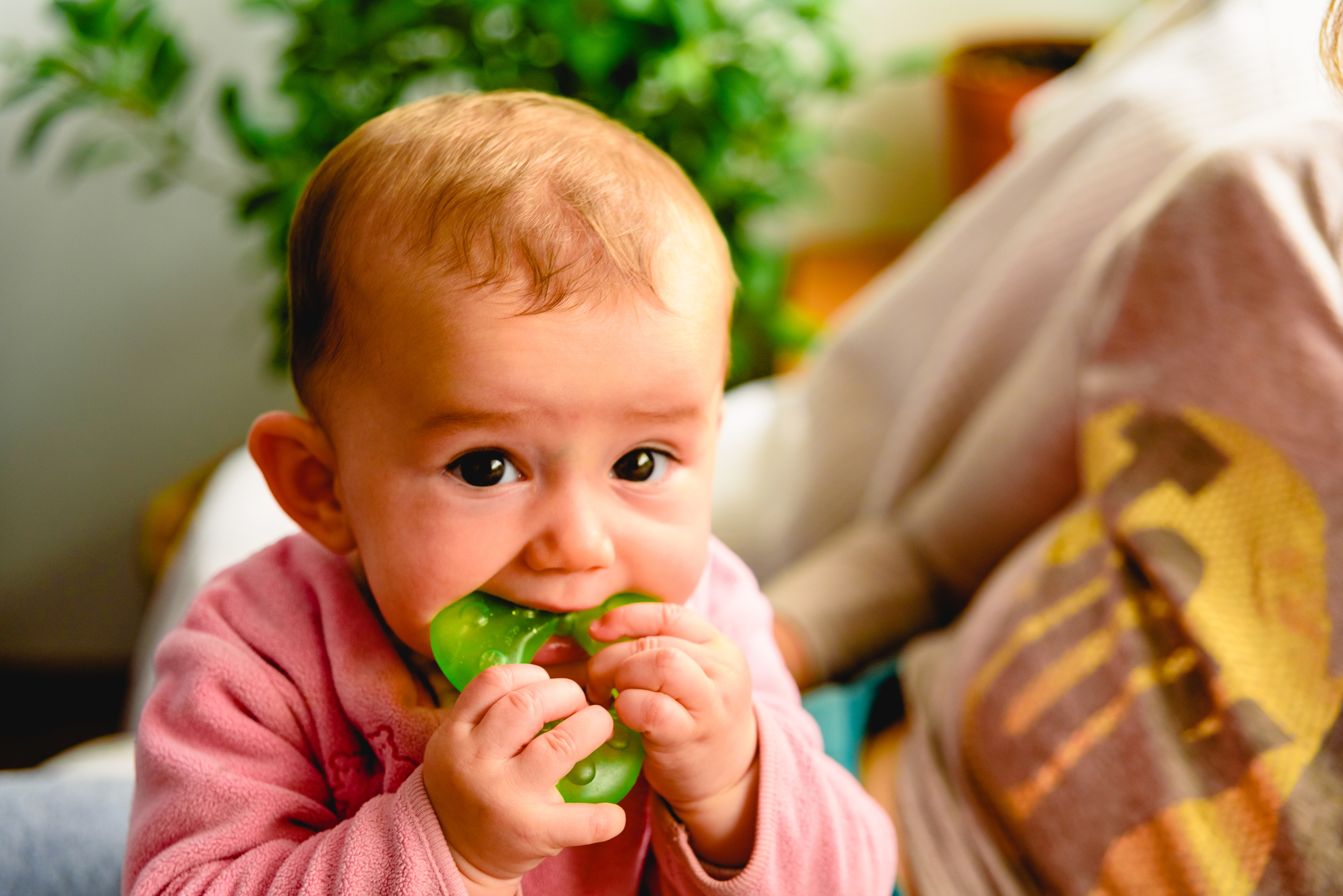 Close-up of a baby chewing on a teething ring